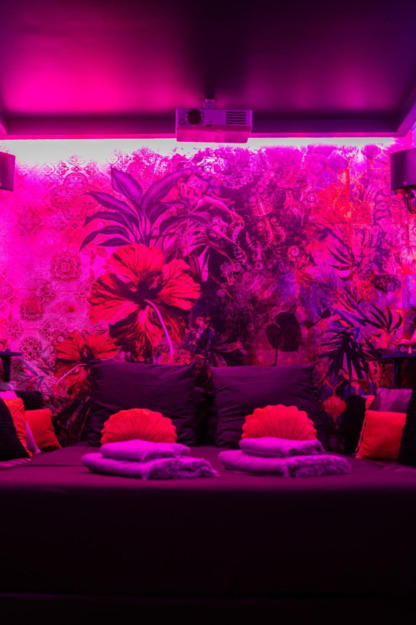 살레 레 볼렛 바이올렛 B&B 객실 사진